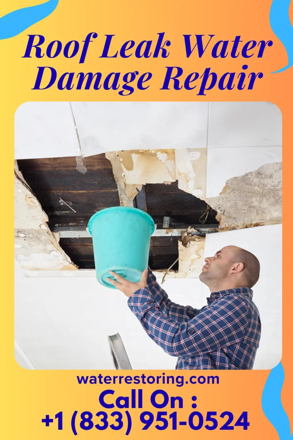 Roof Leak Water Damage Repair in Letcher, SD