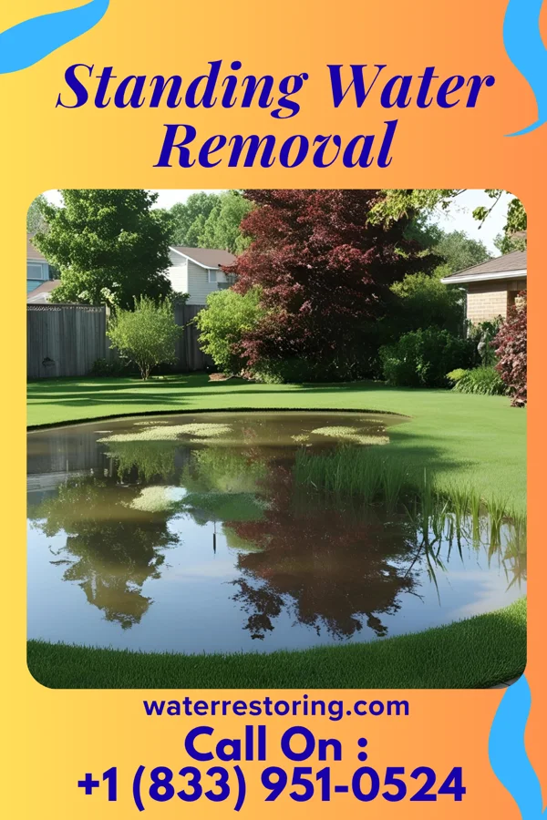 Standing Water Removal in Letcher, SD